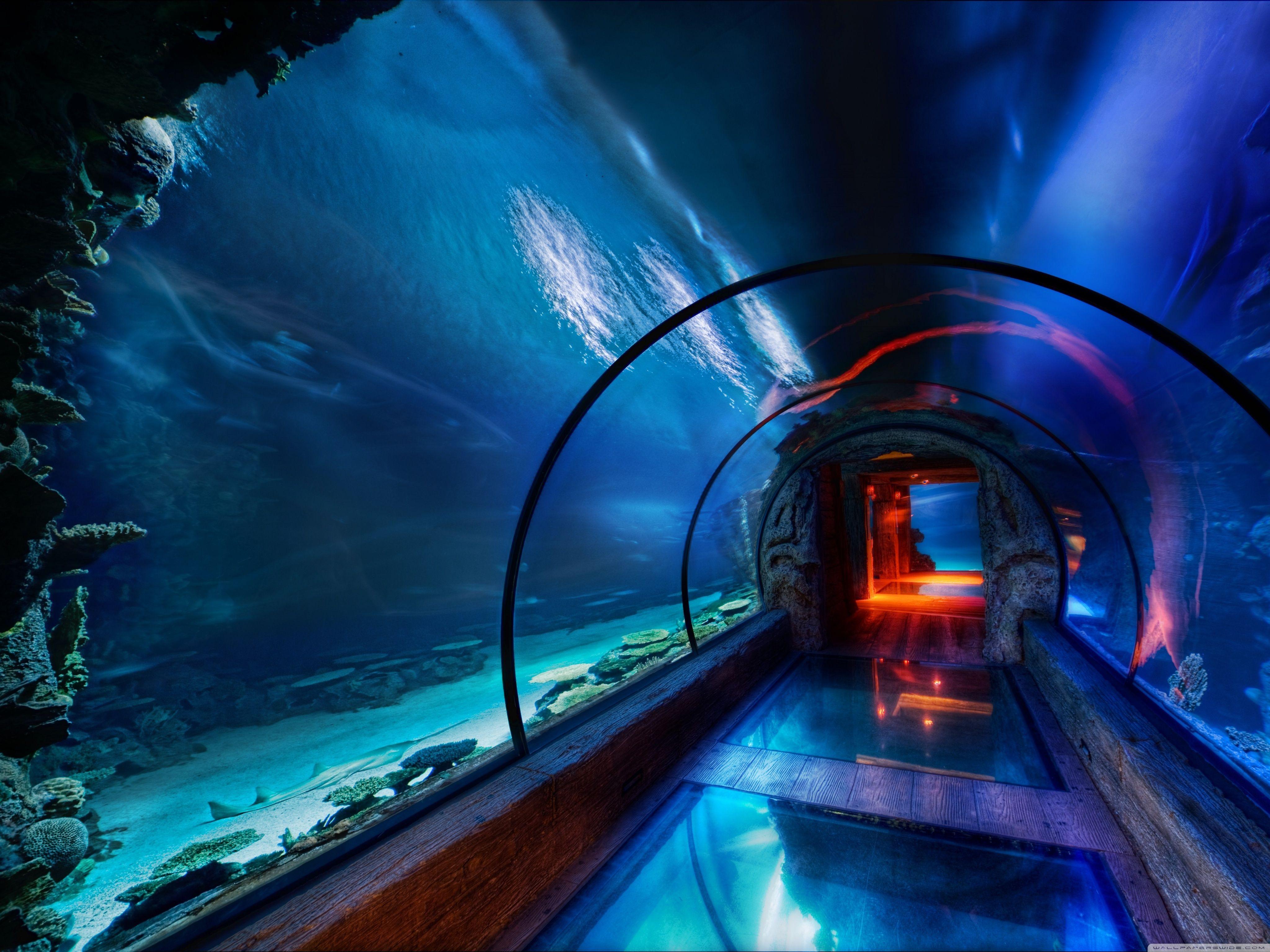 4096x3072 Underwater_passage_las_vegas Wallpaper 4096×3072