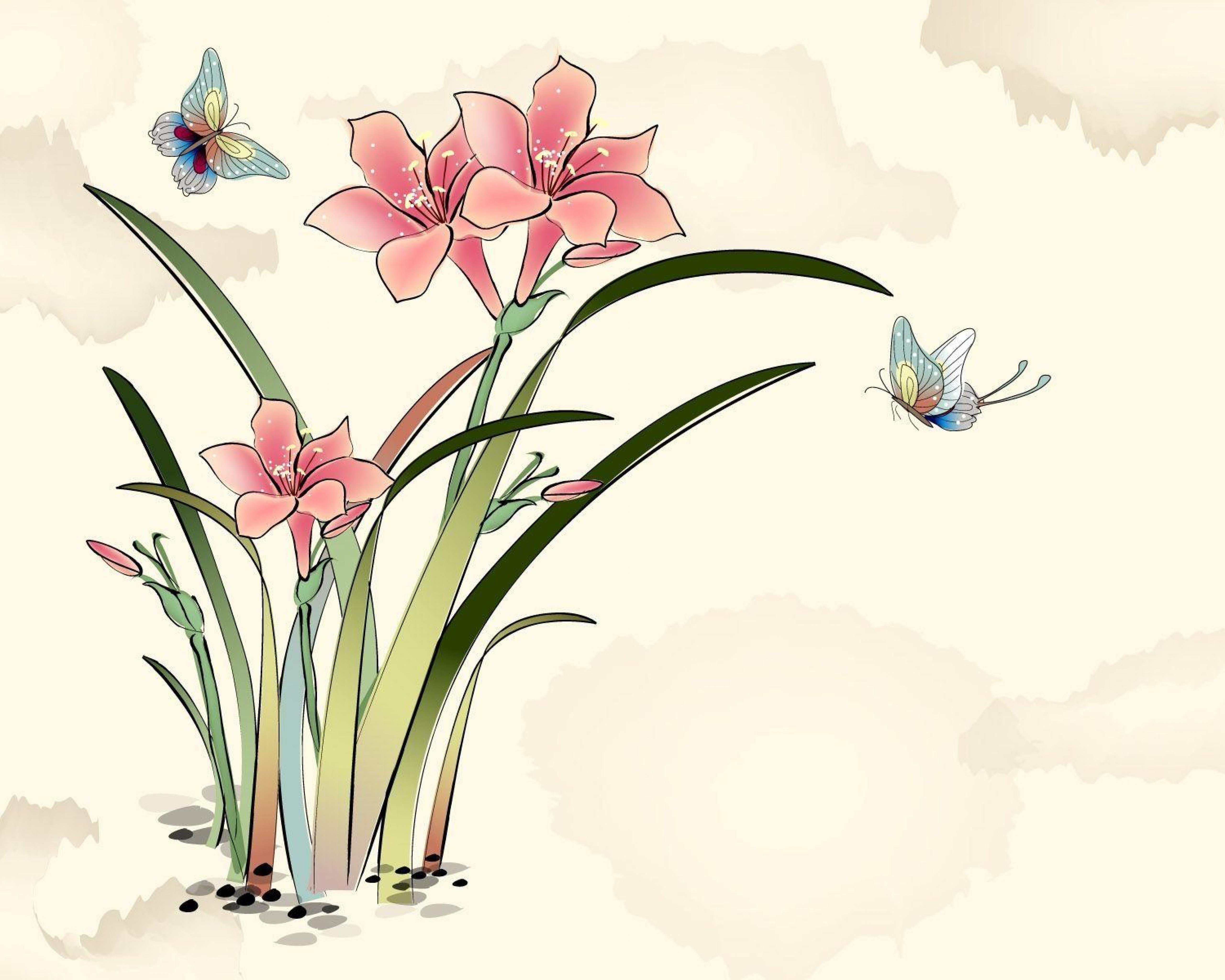 5120x4096 Butterfly Wallpaper Next