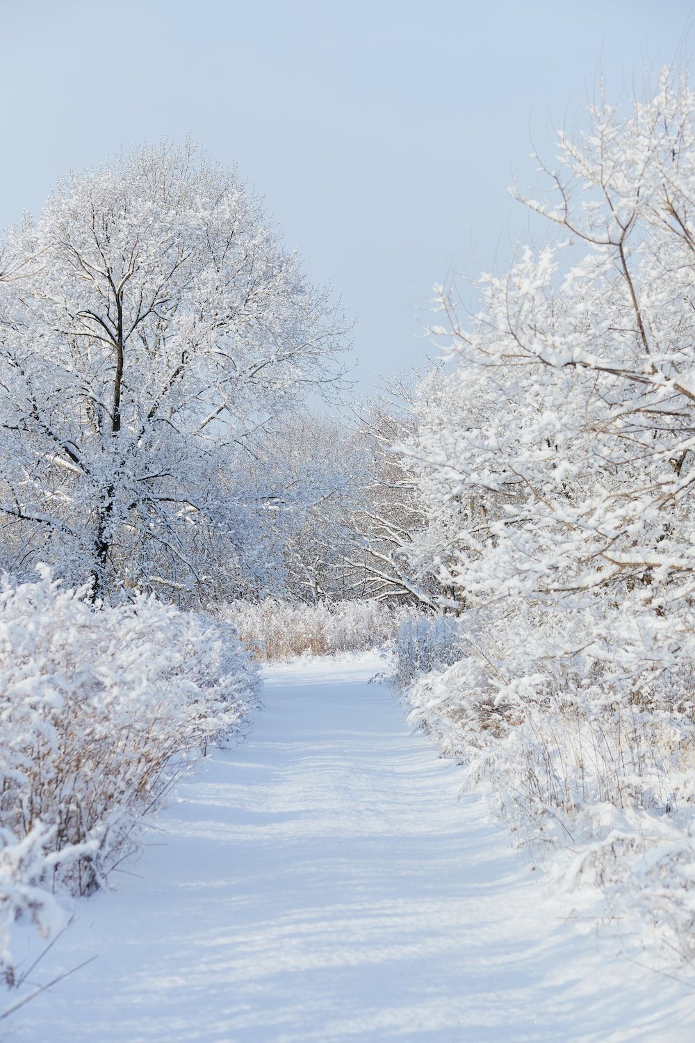 1000x1500 Winter Aesthetic Picture. Download