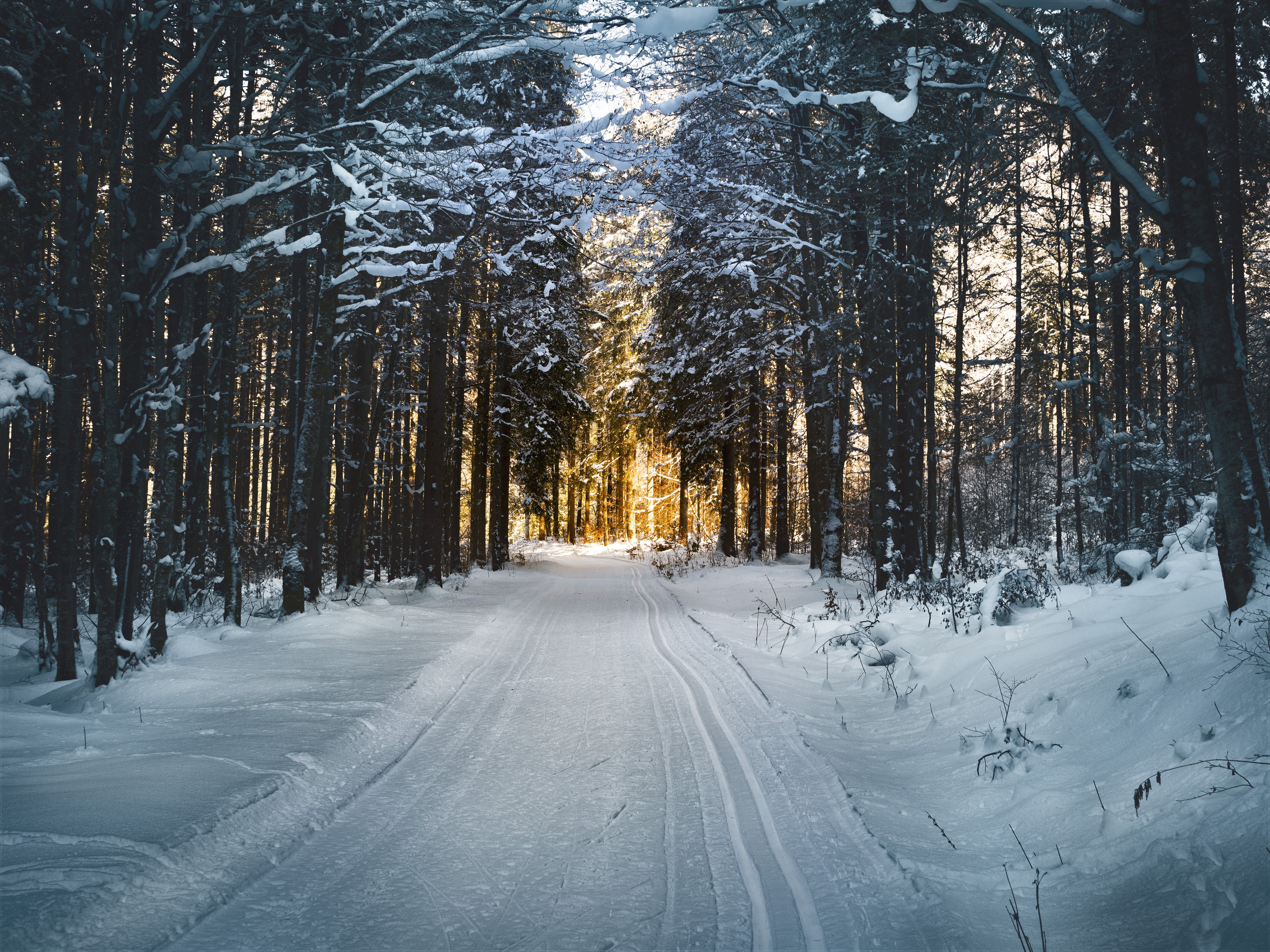 5184x3888 Winter Wallpaper ·