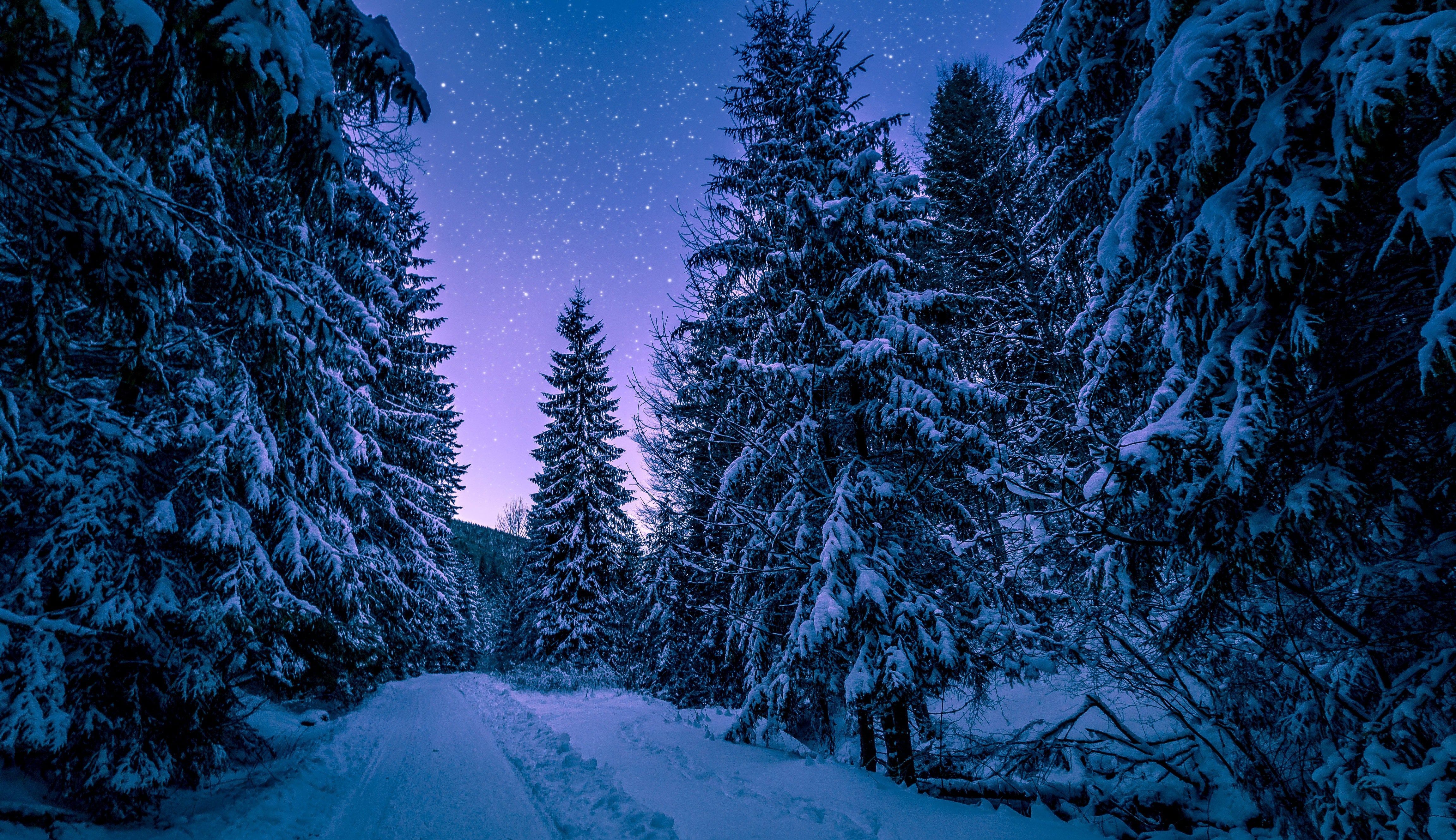 4608x2660 Beautiful Photo of Winter