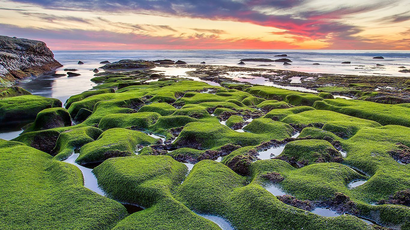 1366x768 La Jolla Green Shore Wallpaper Sea