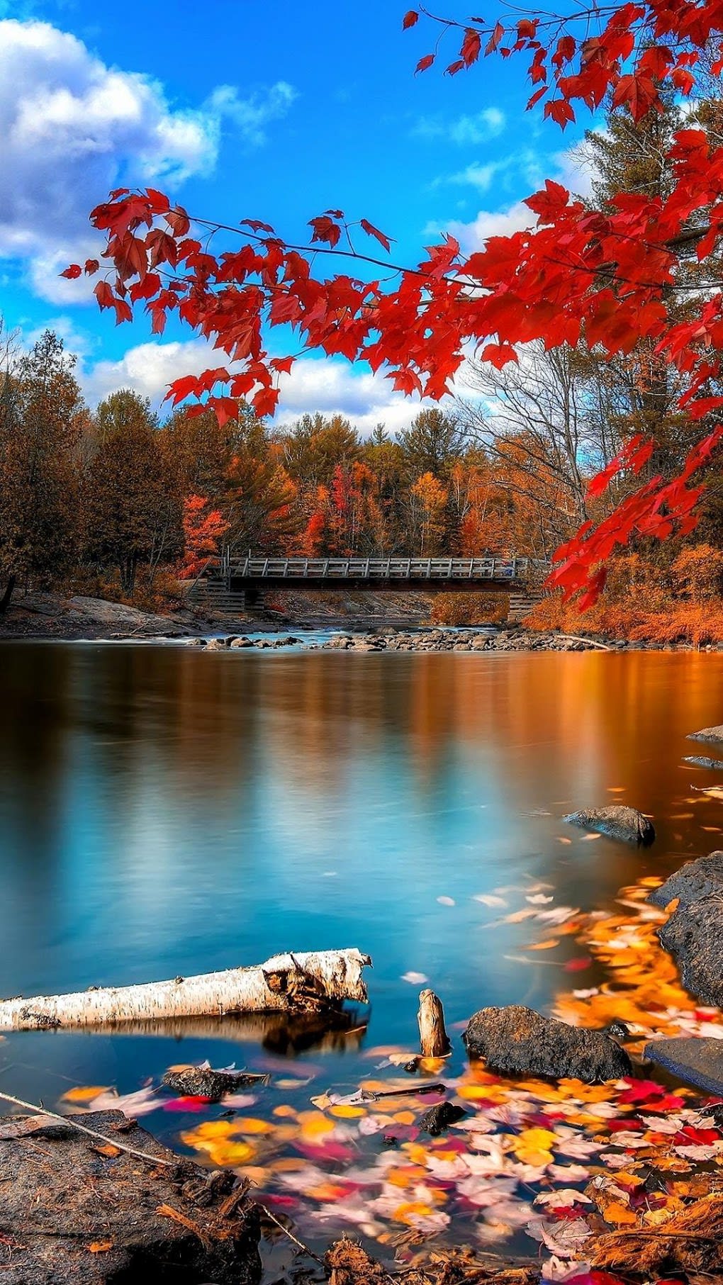 1020x1813 Beautiful Place Wallpaper for Android