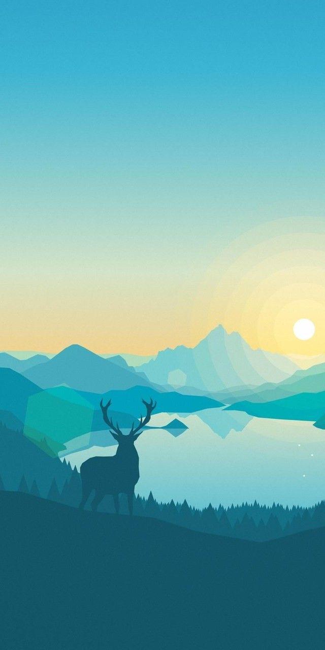 640x1280 Wallpaper