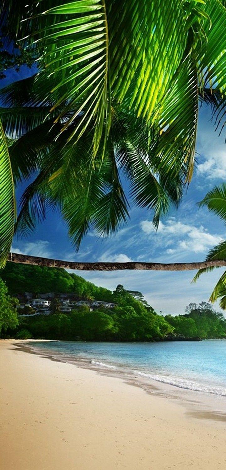 720x1500 Wallpaper