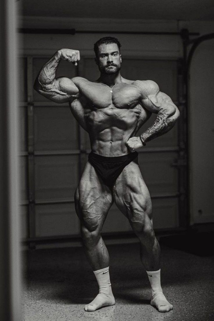 736x1104 Bodybuilding Wallpaper, Bodybuilding