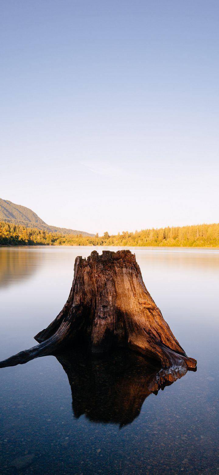 720x1560 Wallpaper