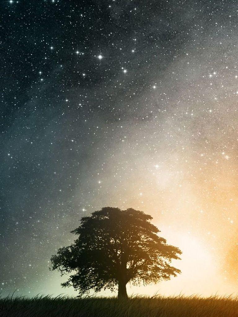 768x1024 Cosmos and the Tree iPad Mini Resolution 768 x 1024