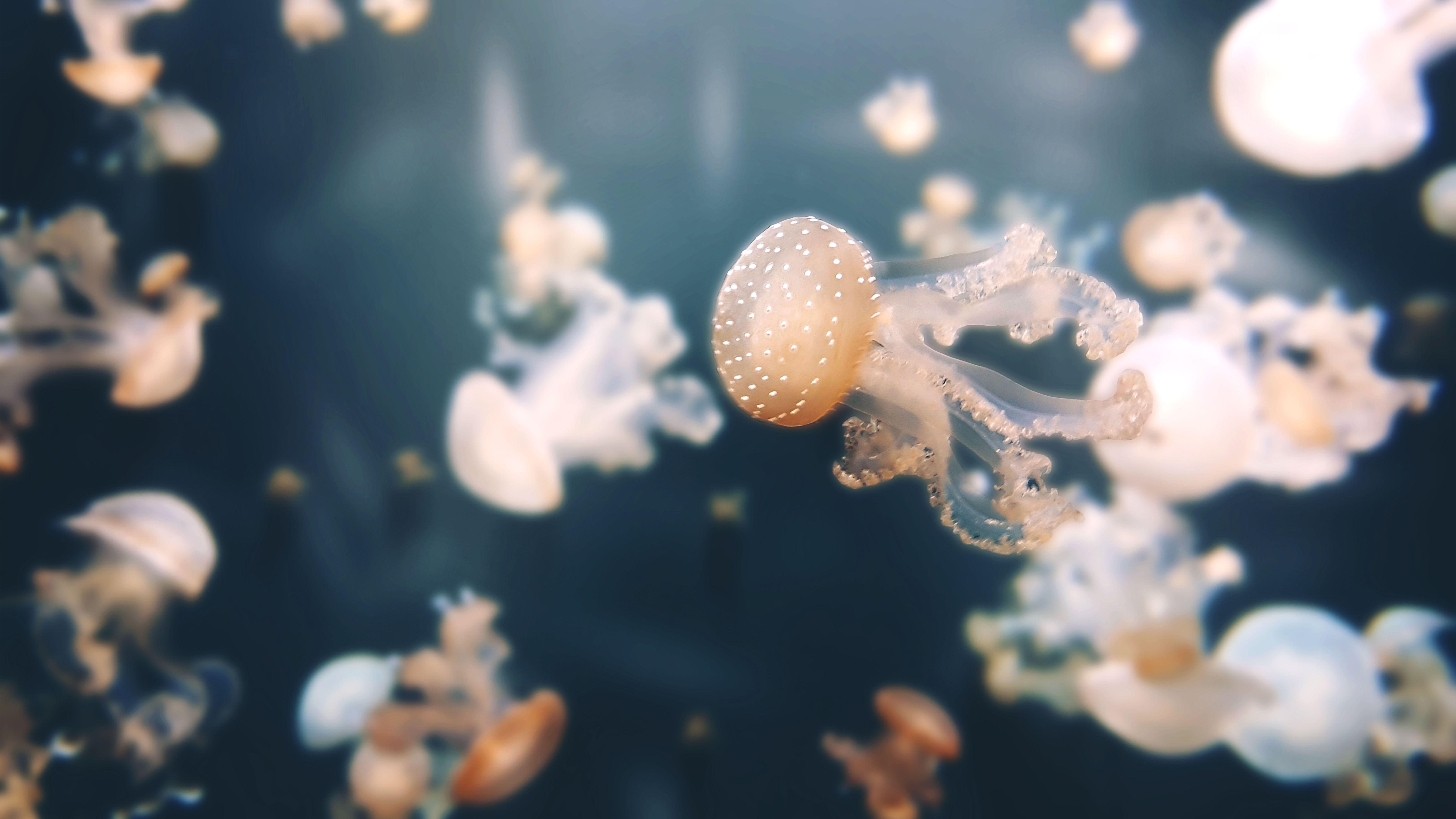 8192x4608 Wallpaper