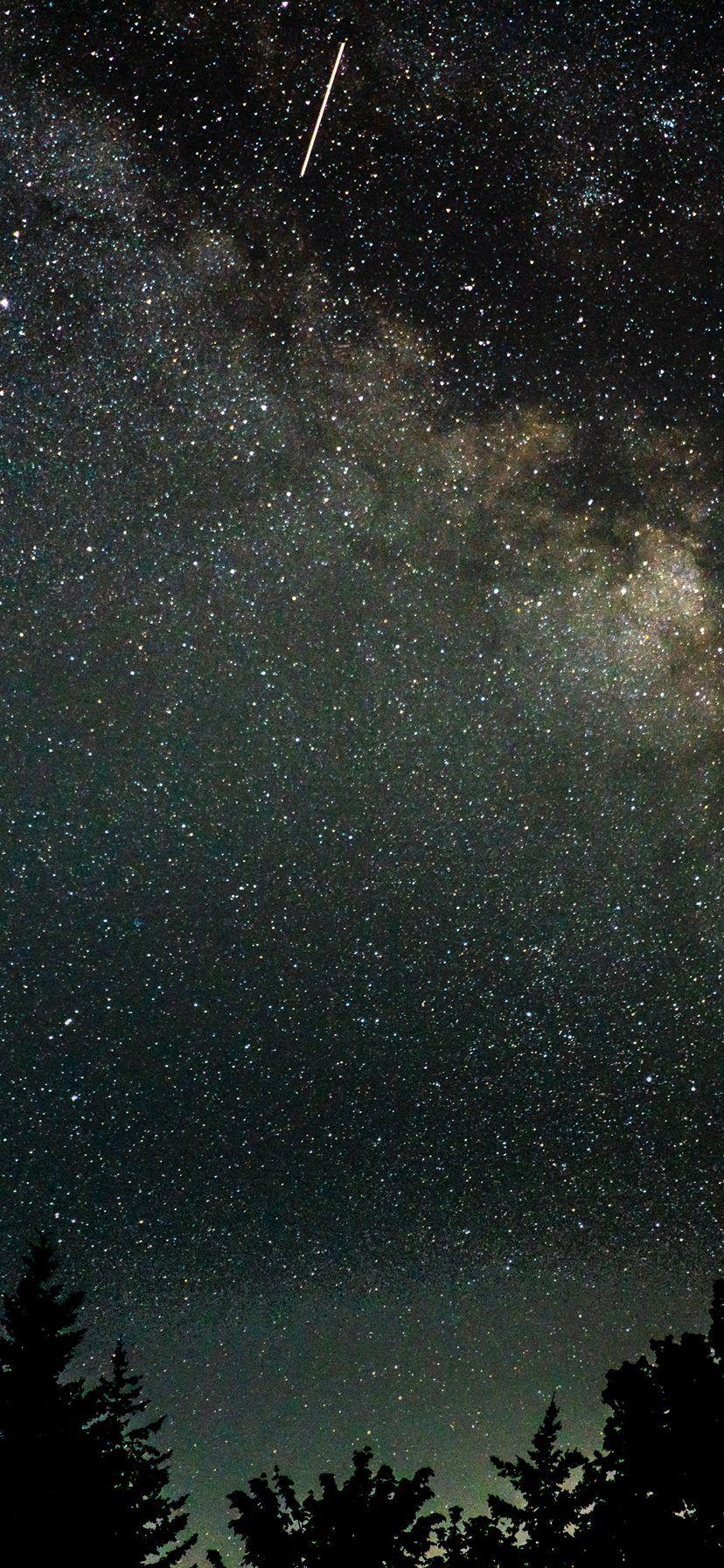 828x1792 Wallpaper