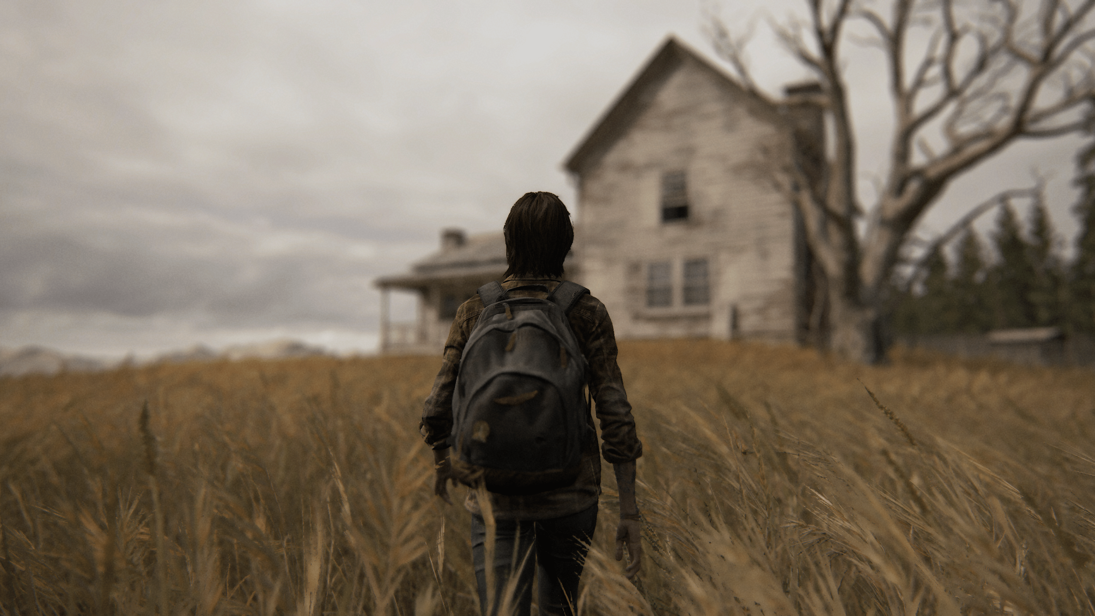 3840x2160 Isolation