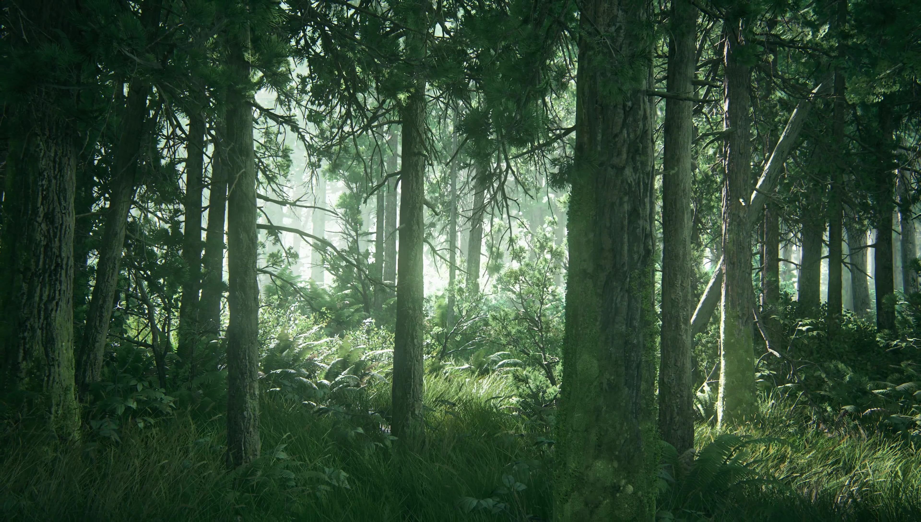 3840x2178 4K 38 Wallpaper / Screenshots
