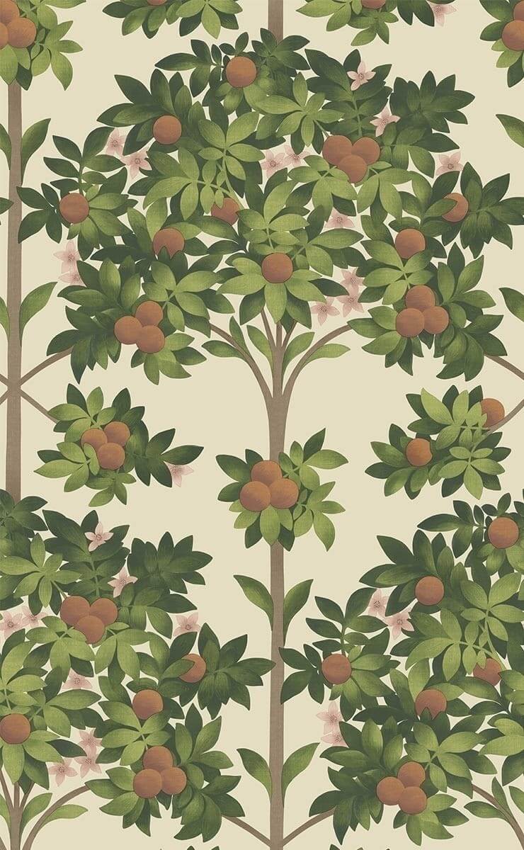 740x1200 Orange Blossom Wallpaper