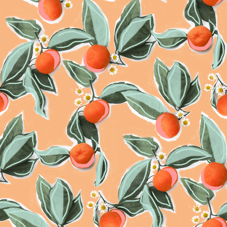 Orange Blossom Wallpapers - Top Free Orange Blossom Backgrounds