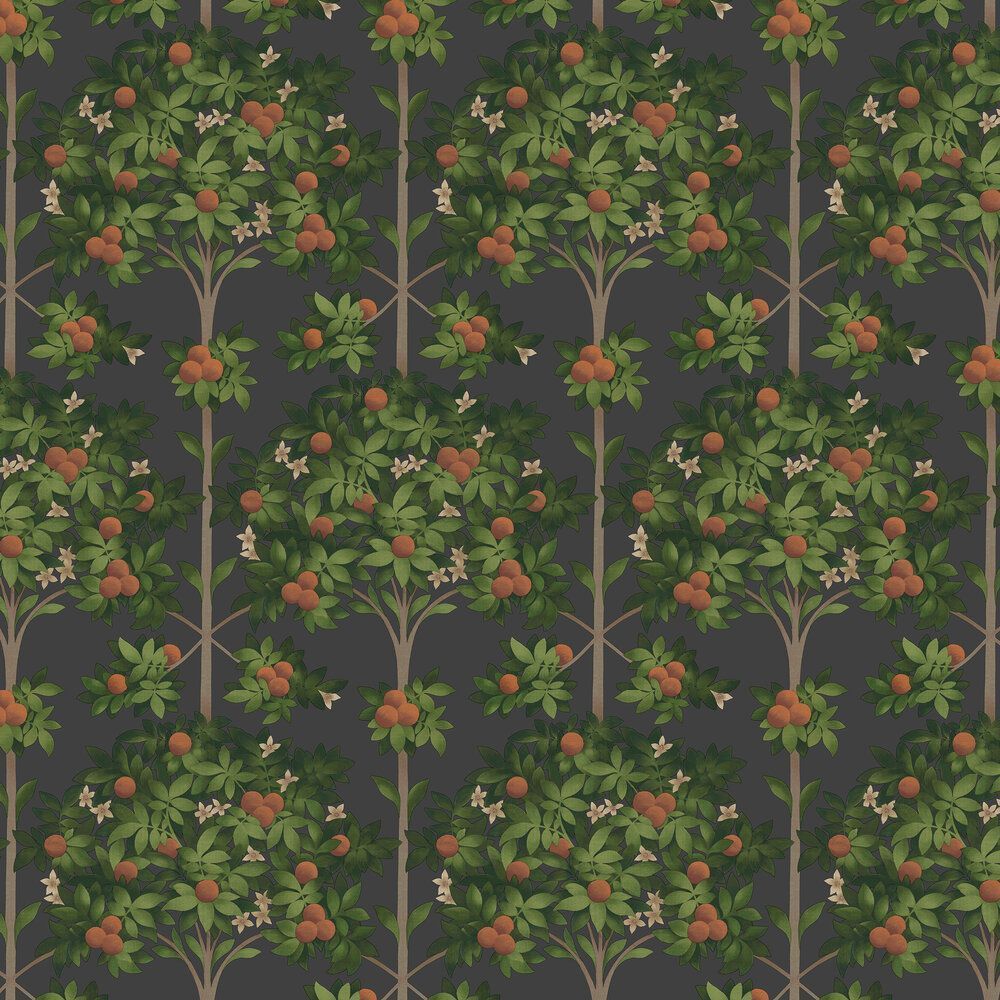 1000x1000 Cole & Son Wallpaper Orange Blossom 117 1003