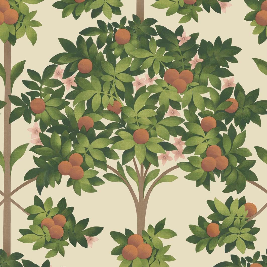 1062x1062 Orange Blossom Wallpaper. Cole & Son