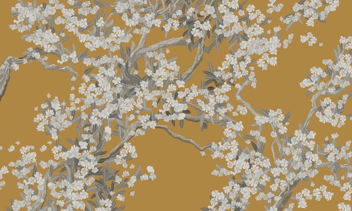 Orange Blossom Wallpapers - Top Free Orange Blossom Backgrounds