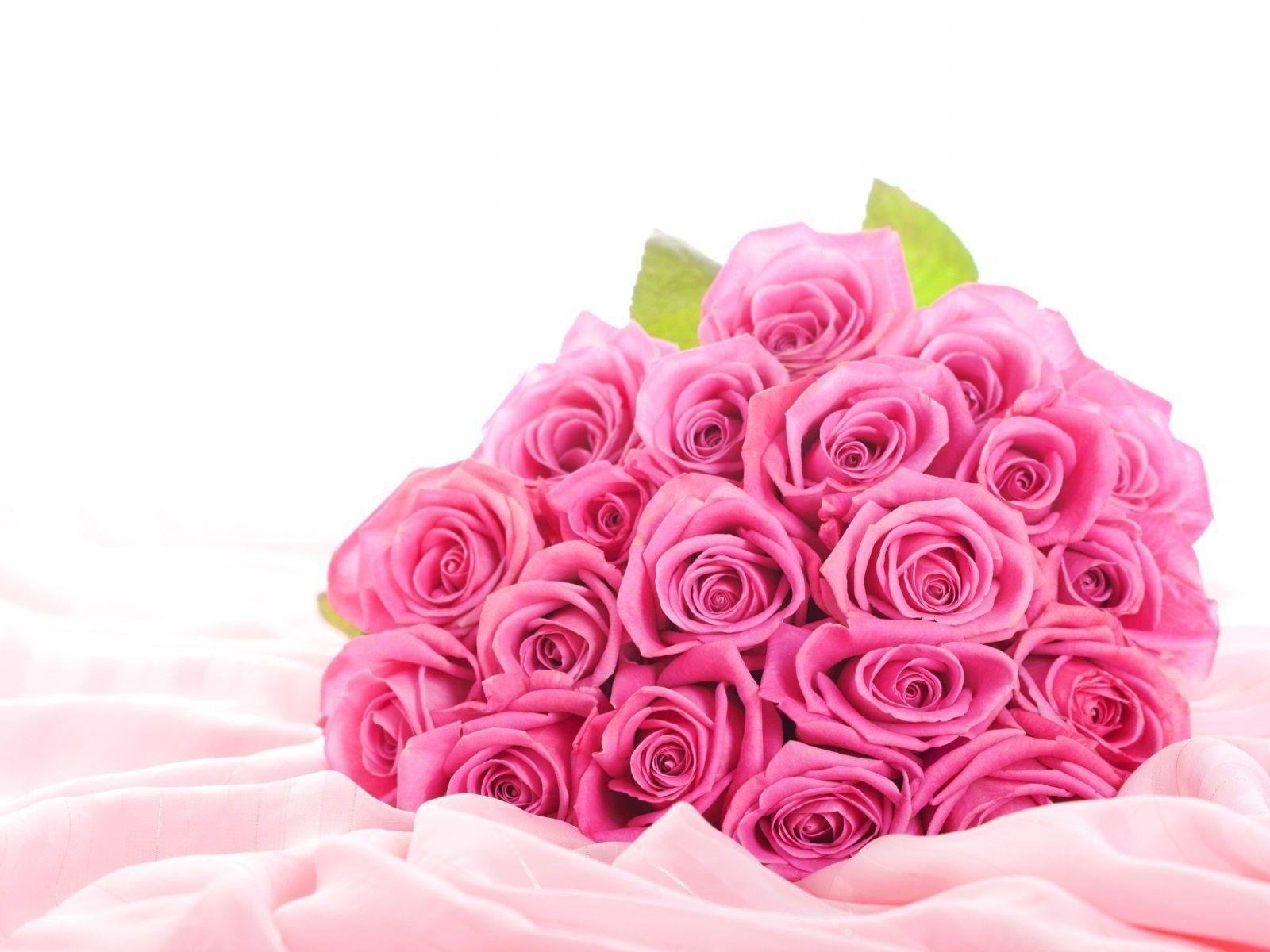 1600x1200 Cute Pink Rose Flower HD Wallpaper Roses Cool For PC