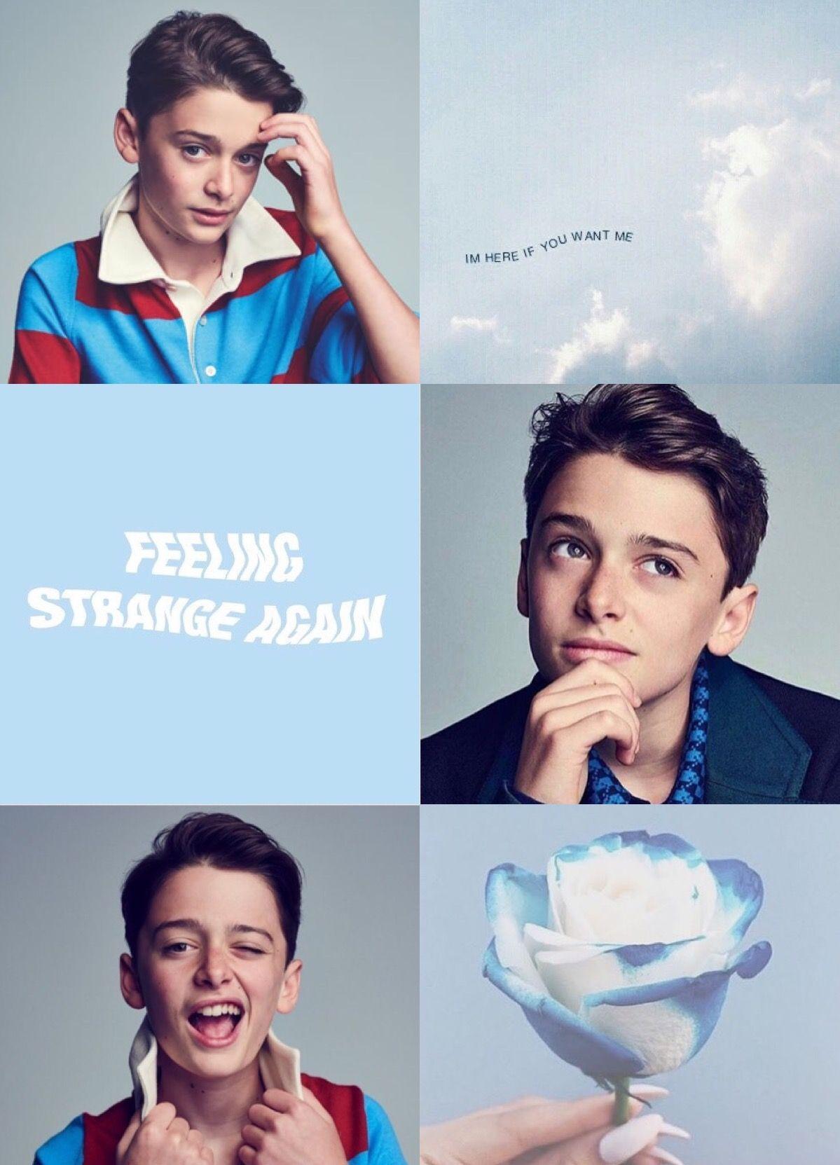 Noah Schnapp Wallpapers Top Free Noah Schnapp Backgrounds Noah Schnapp Wallpapers Top Free Noah Schnapp Backgrounds