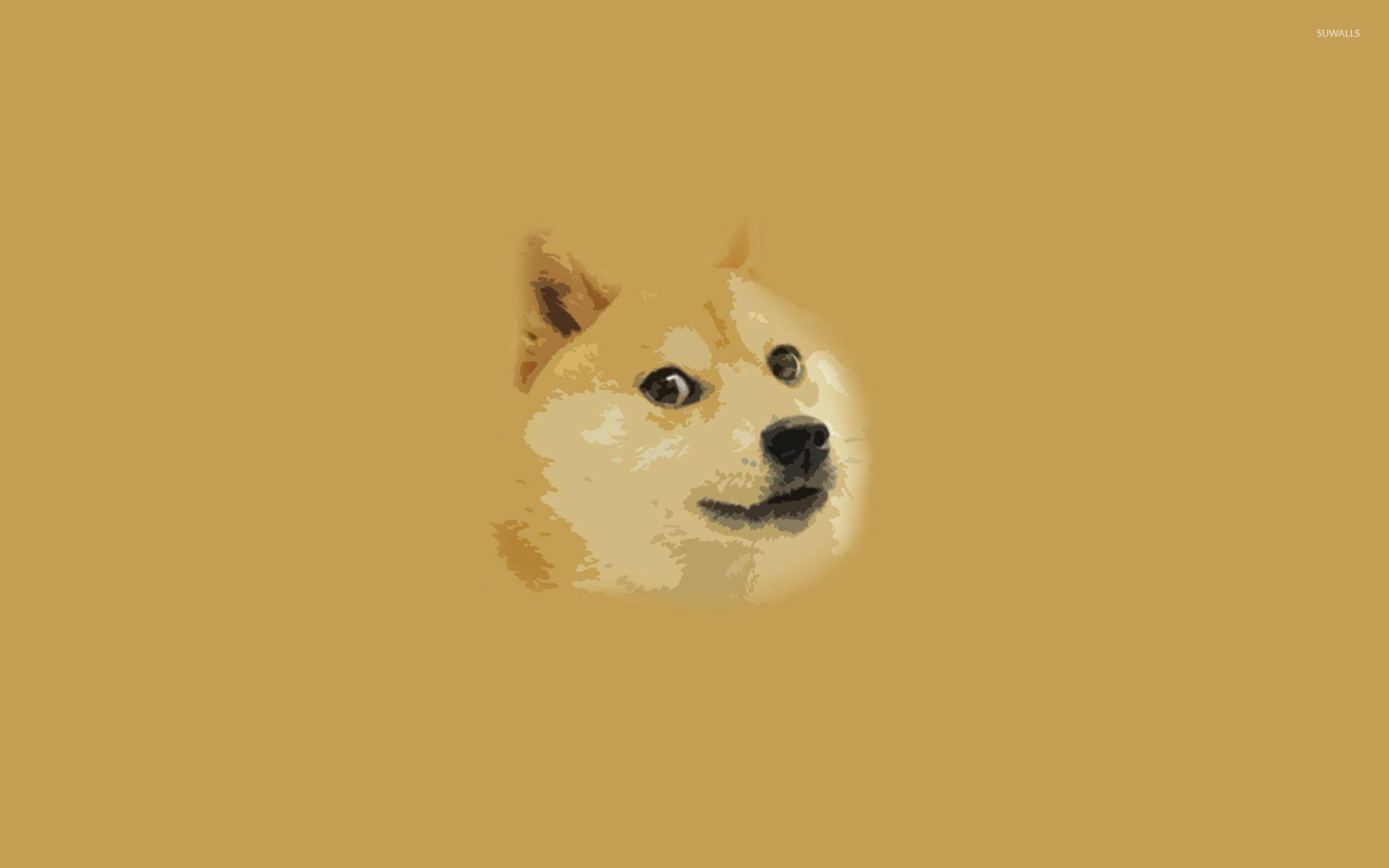 1920x1200 Doge Meme hình nền