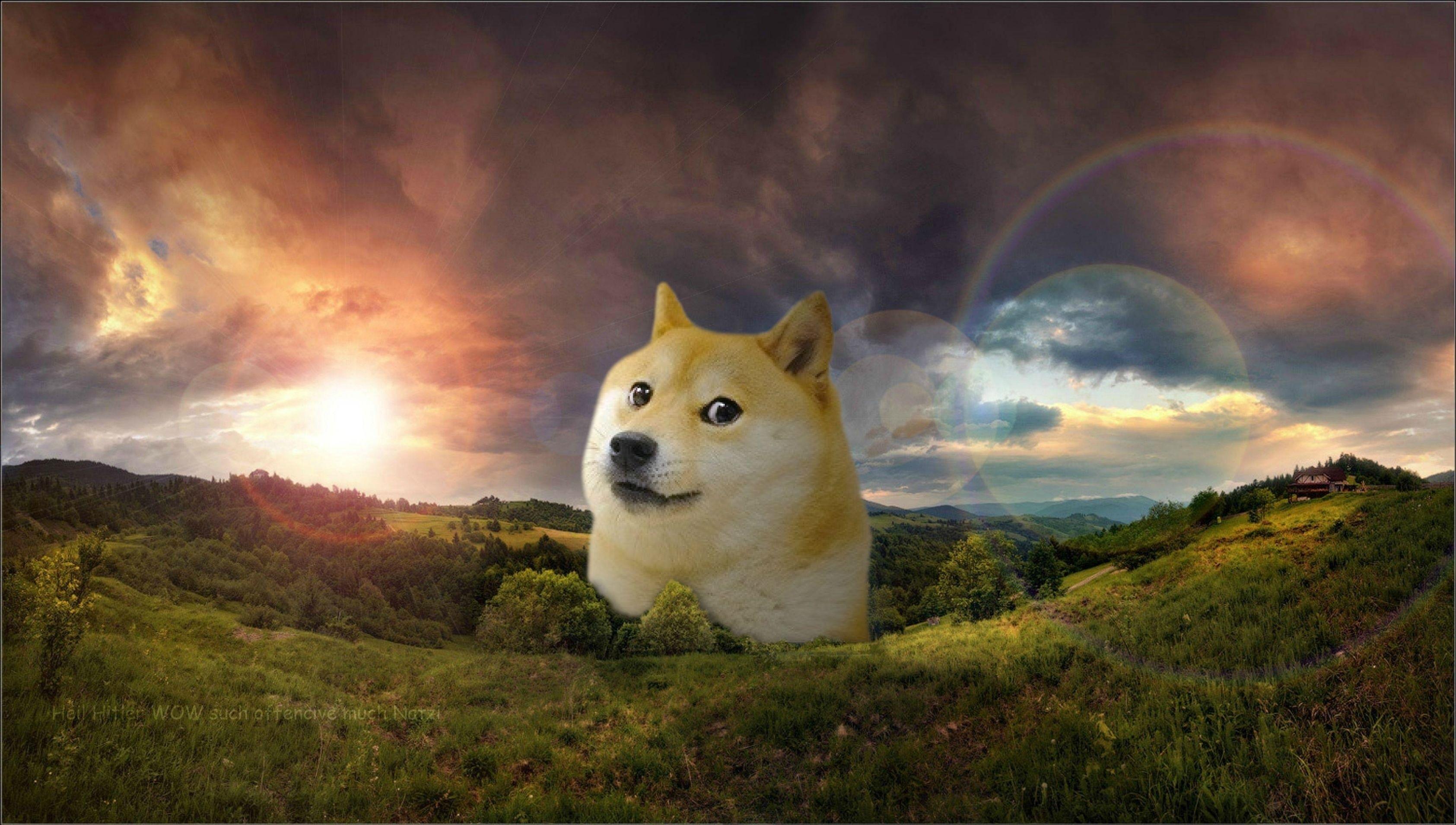 Doge Wallpapers - Top Free Doge Backgrounds - WallpaperAccess