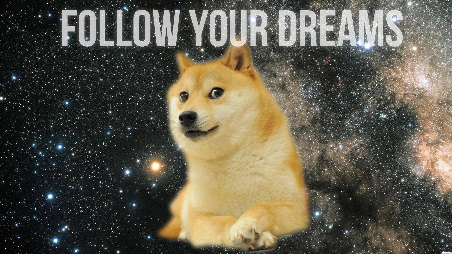 I made a wallpaper for all the dogebois out there Feel free to use it  2560x1440 TO THE MOON  rdogecoin