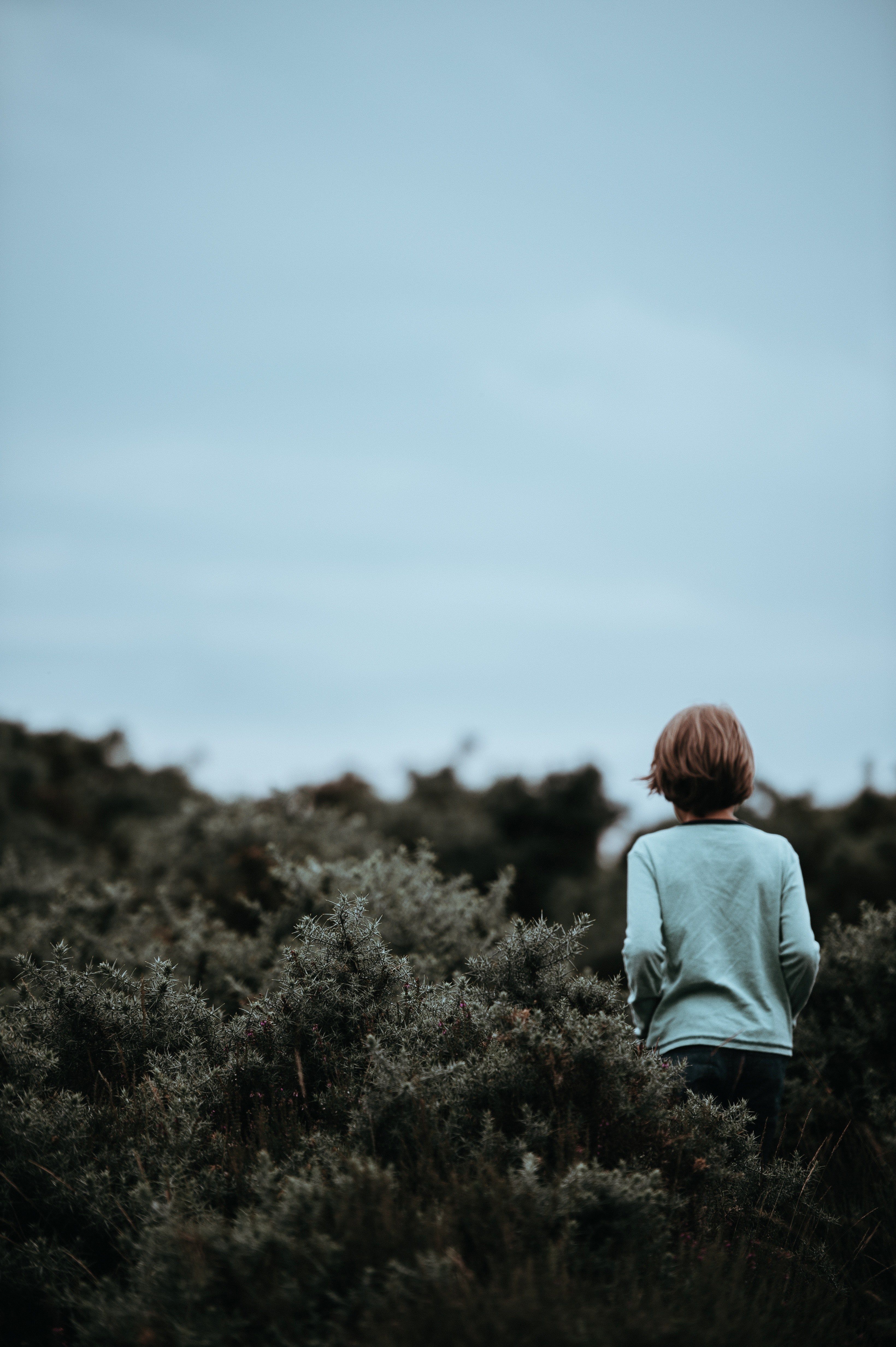 3280x4928 Natural Boy 4k Wallpaper