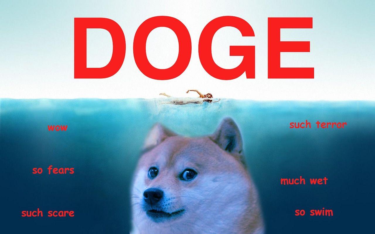 Tổng hợp 64+ về hình nền doge hay nhất - coedo.com.vn