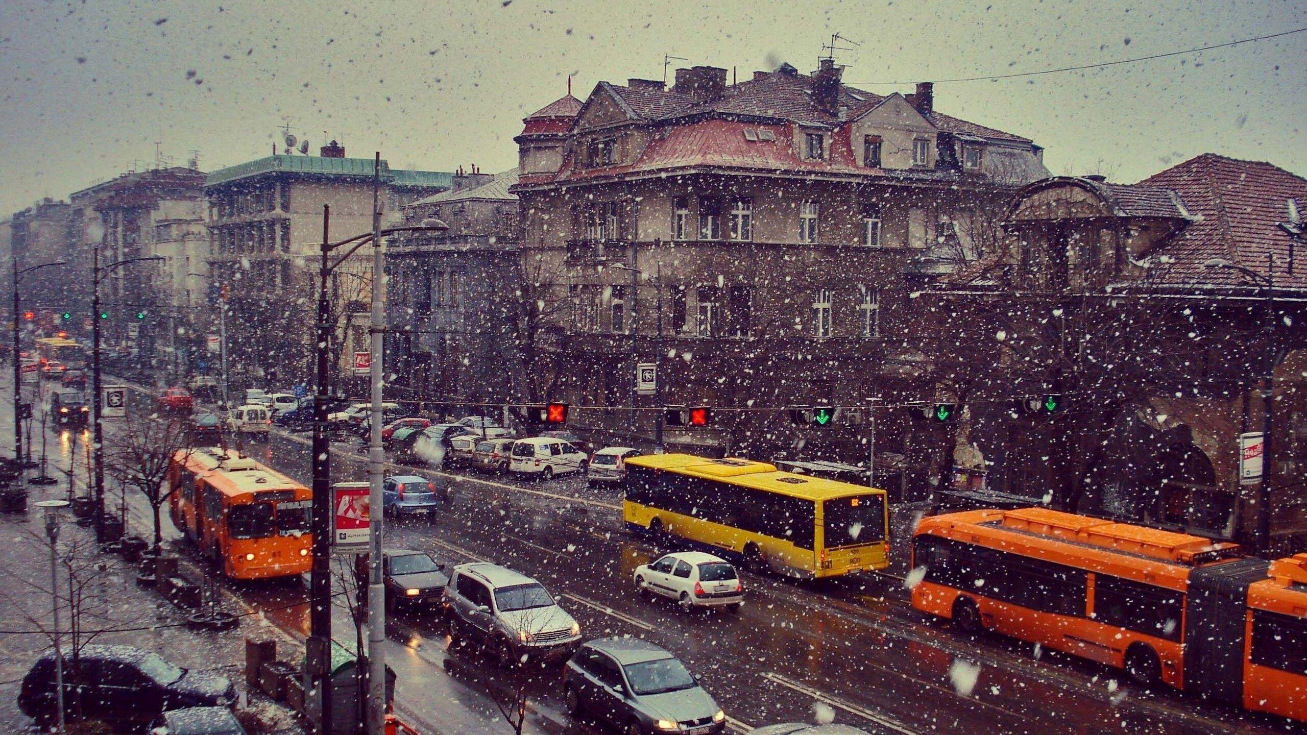 2560x1440 belgrade snow city serbia car buses wallpaper