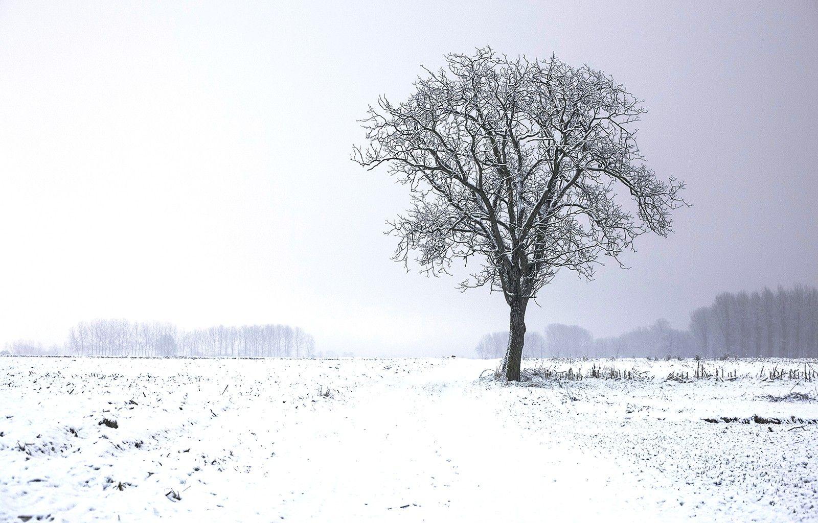 1600x1024 Cold, Snow, Landscape, Nature, HD City Wallpaper, Places