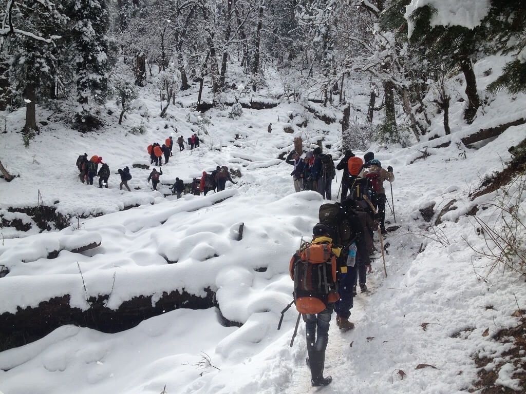 1024x768 Glimpse of the Kedarkantha trekIndia