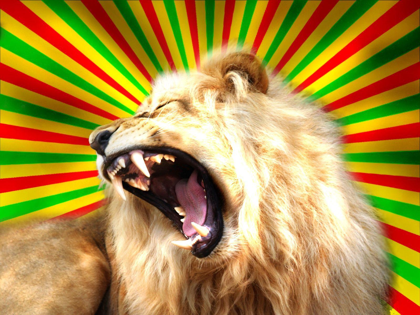 1600x1200 Rasta Lion Wallpaper