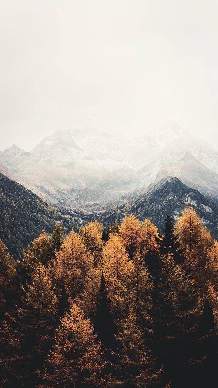 736x1308 iPhone Xr Wallpaper Aesthetic HD