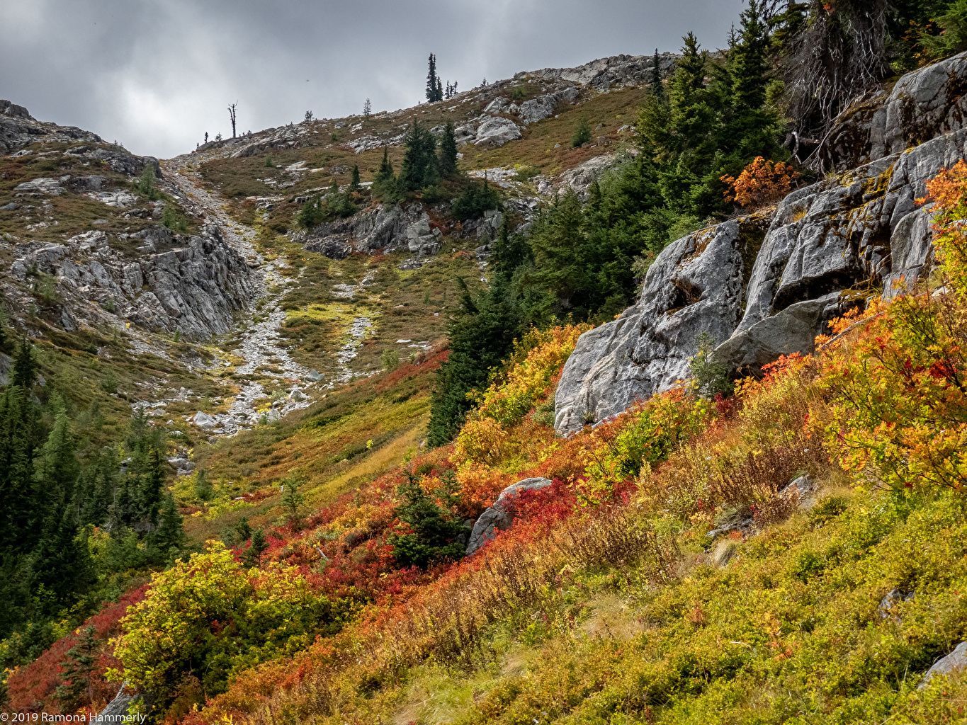 1365x1024 Photos USA North Cascades National Park