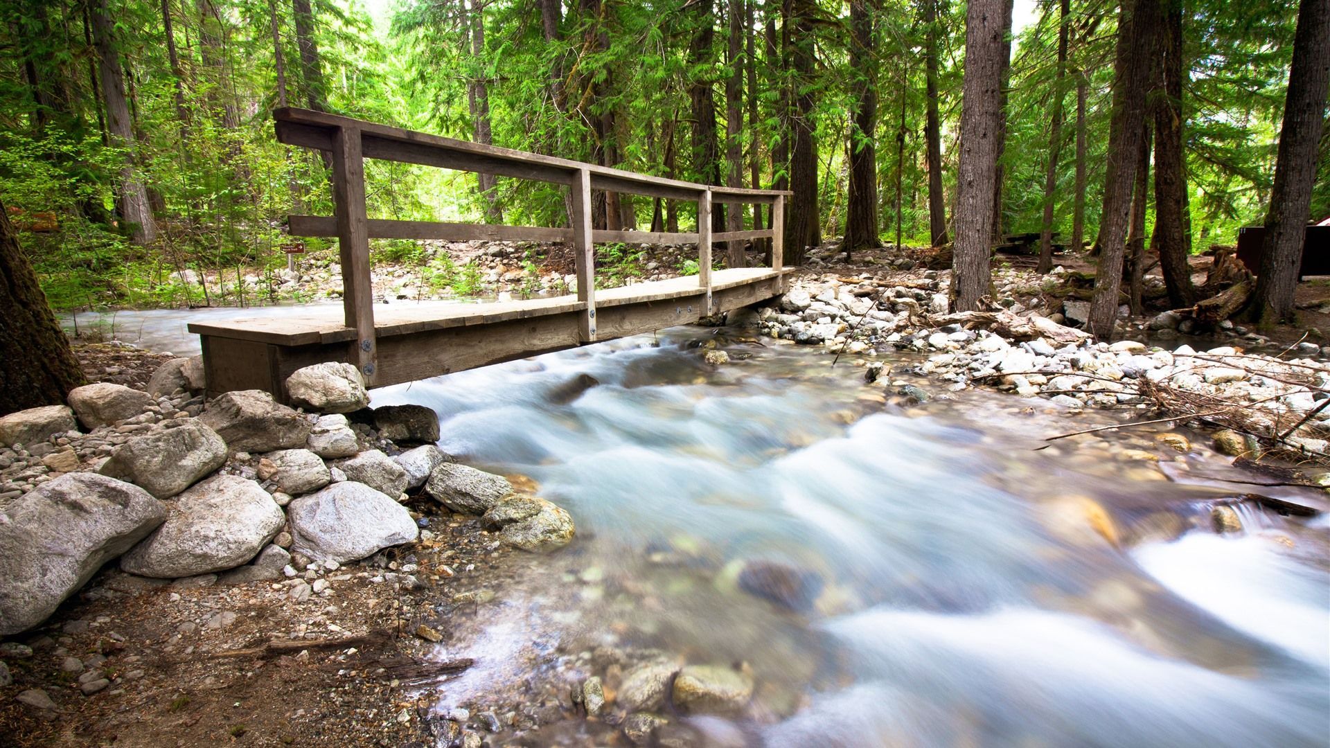 1920x1080 Jungle River North Cascades National