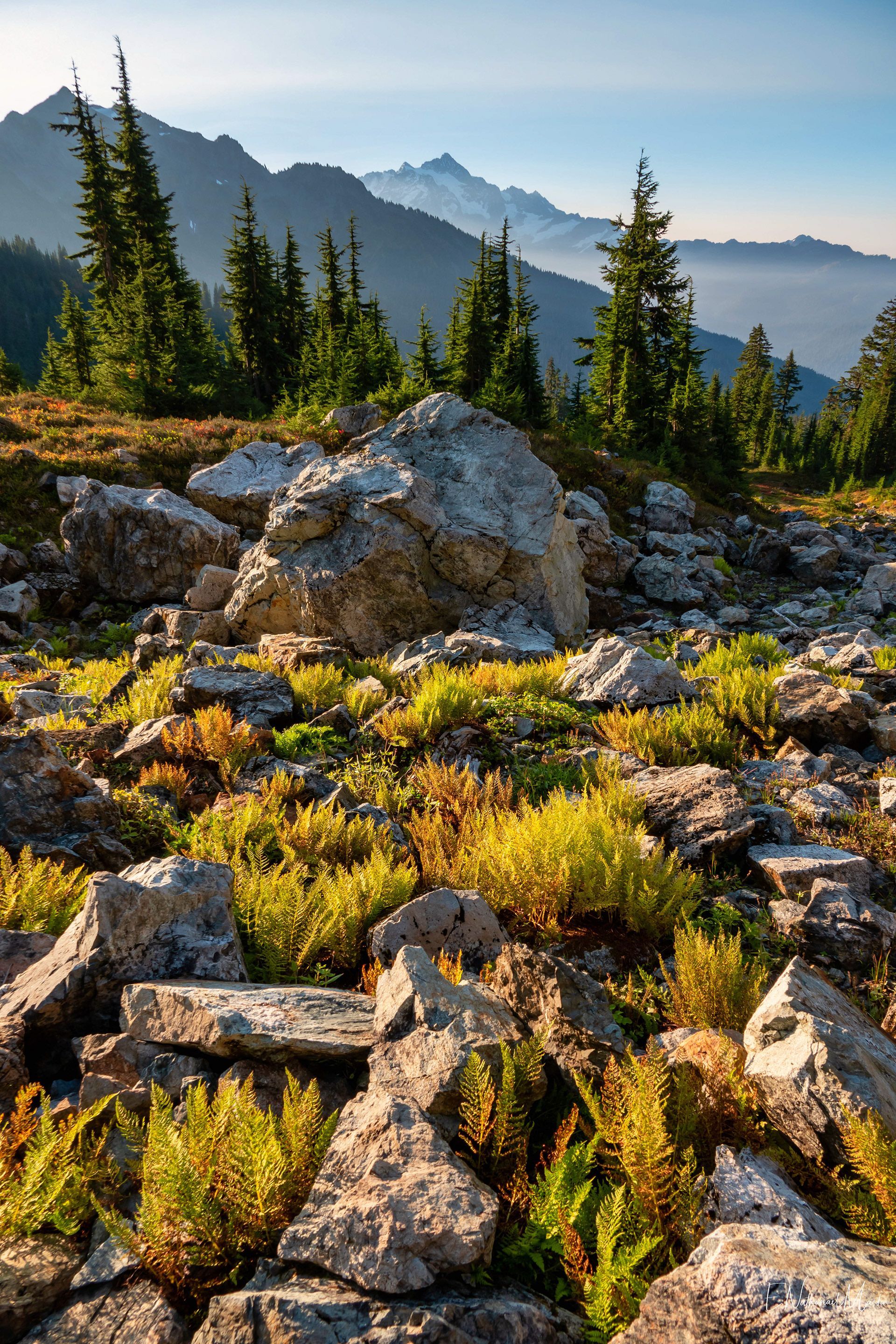 1920x2880 North Cascades Fall Color