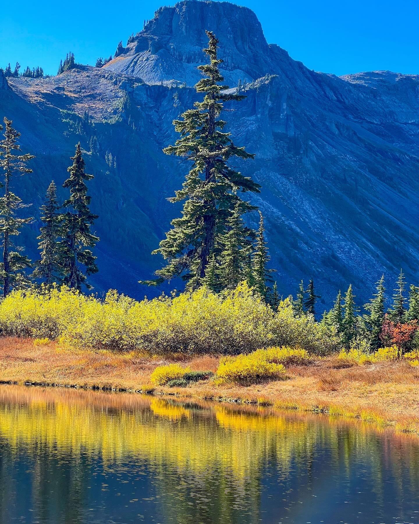 1440x1800 Autumn in the North Cascades, WA OC
