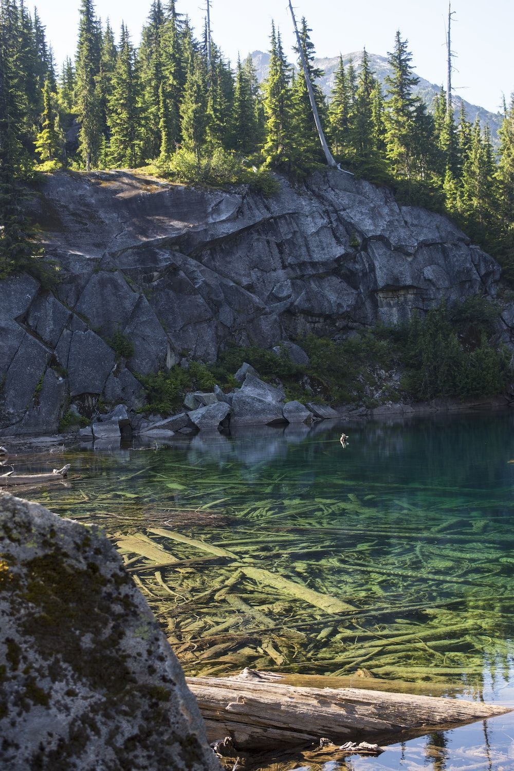 1000x1500 North Cascades National Park Picture