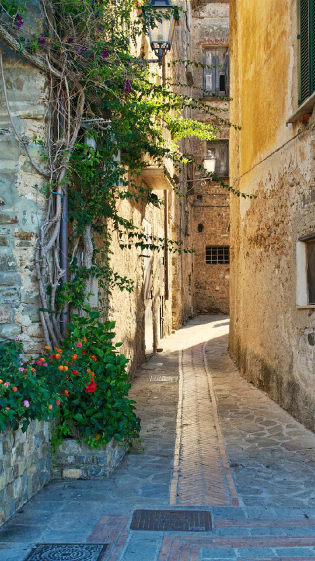 1080x1920 Nature Country Road Sunshine Architecture iPhone 8