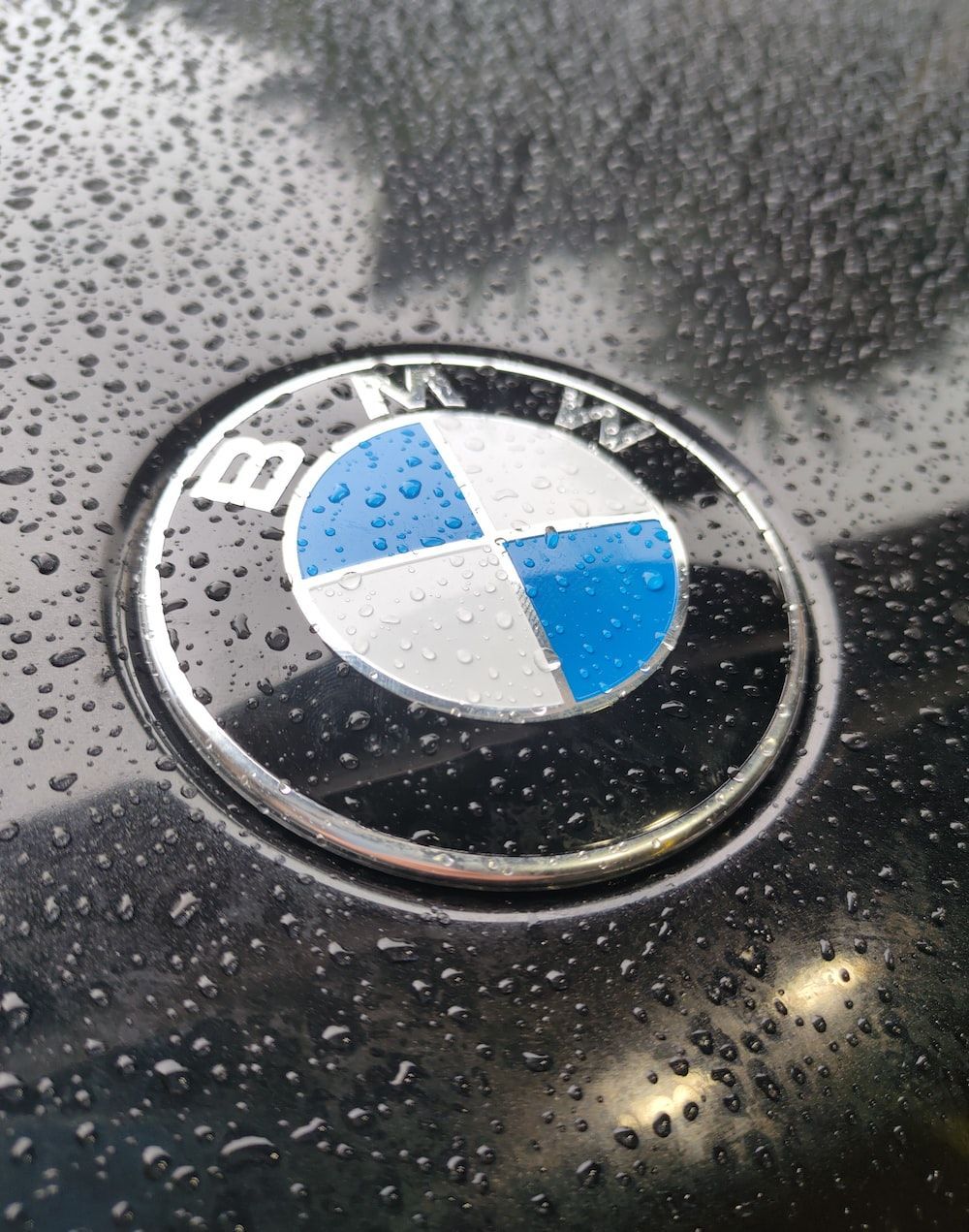 1000x1271 Bmw Logo Picture. Download Free
