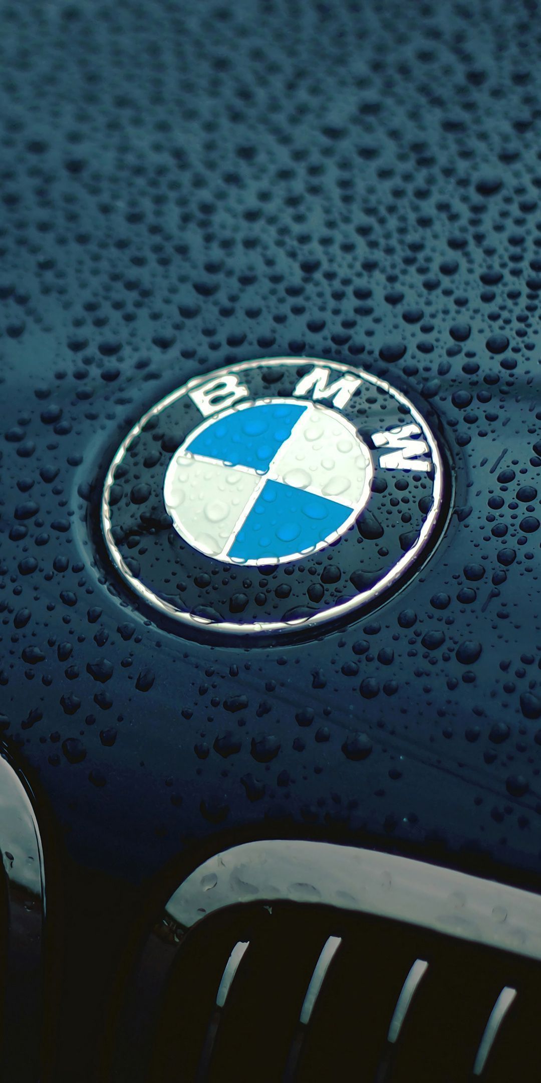 BMW LOGO 4K Wallpapers - Top Free BMW LOGO 4K Backgrounds - WallpaperAccess