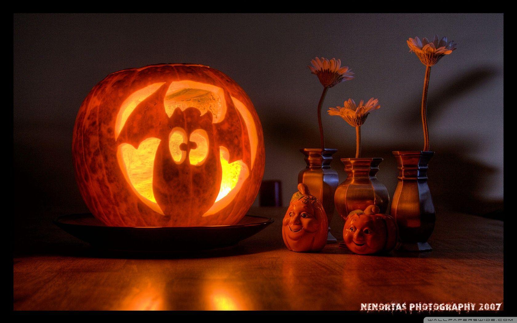 1680x1050 Funny Halloween Pumpkin ❤ 4K HD Desktop Wallpaper