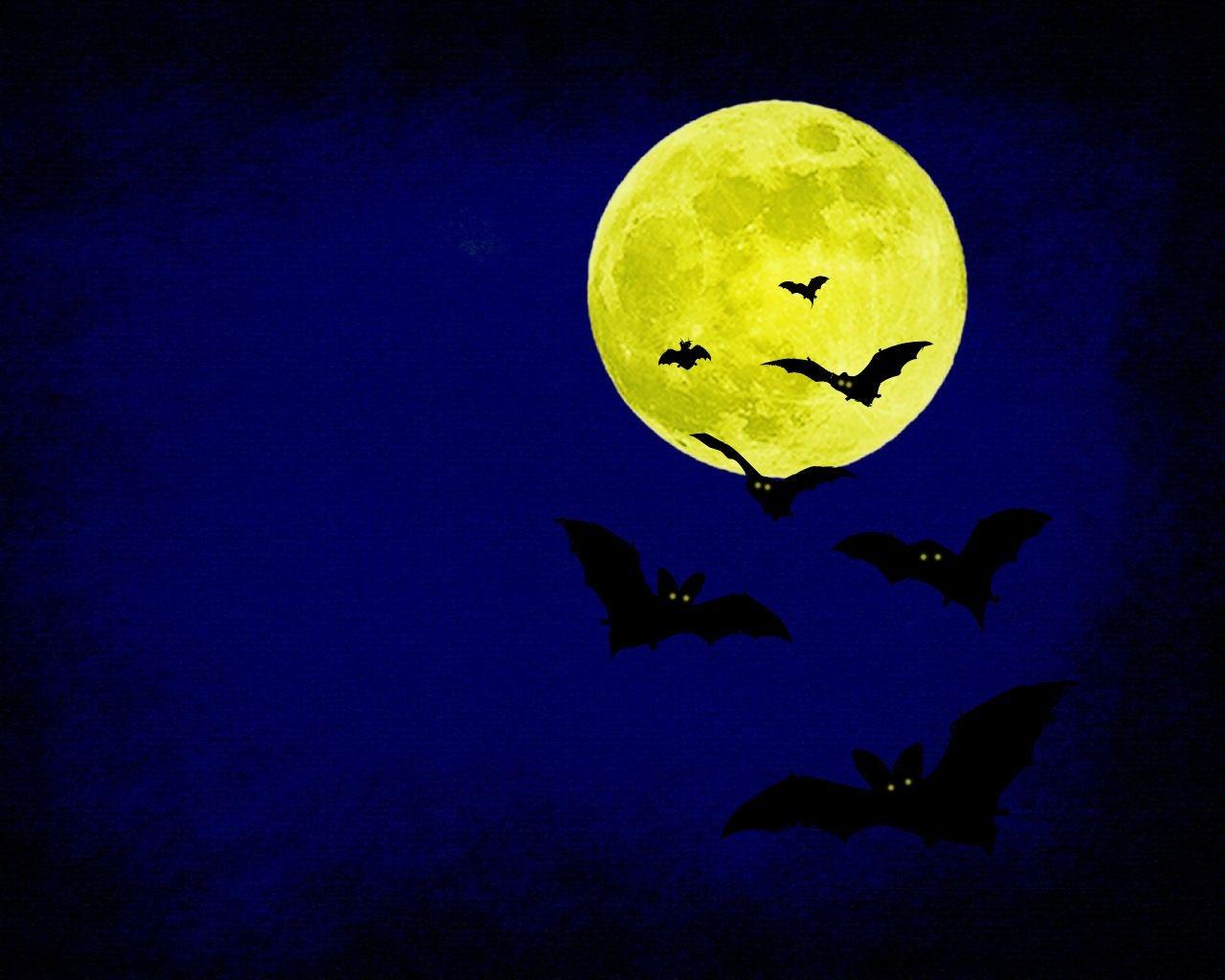 1280x1024 Halloween Creepy Pumpkins Bats Full Moon Midnight HD Wallpaper