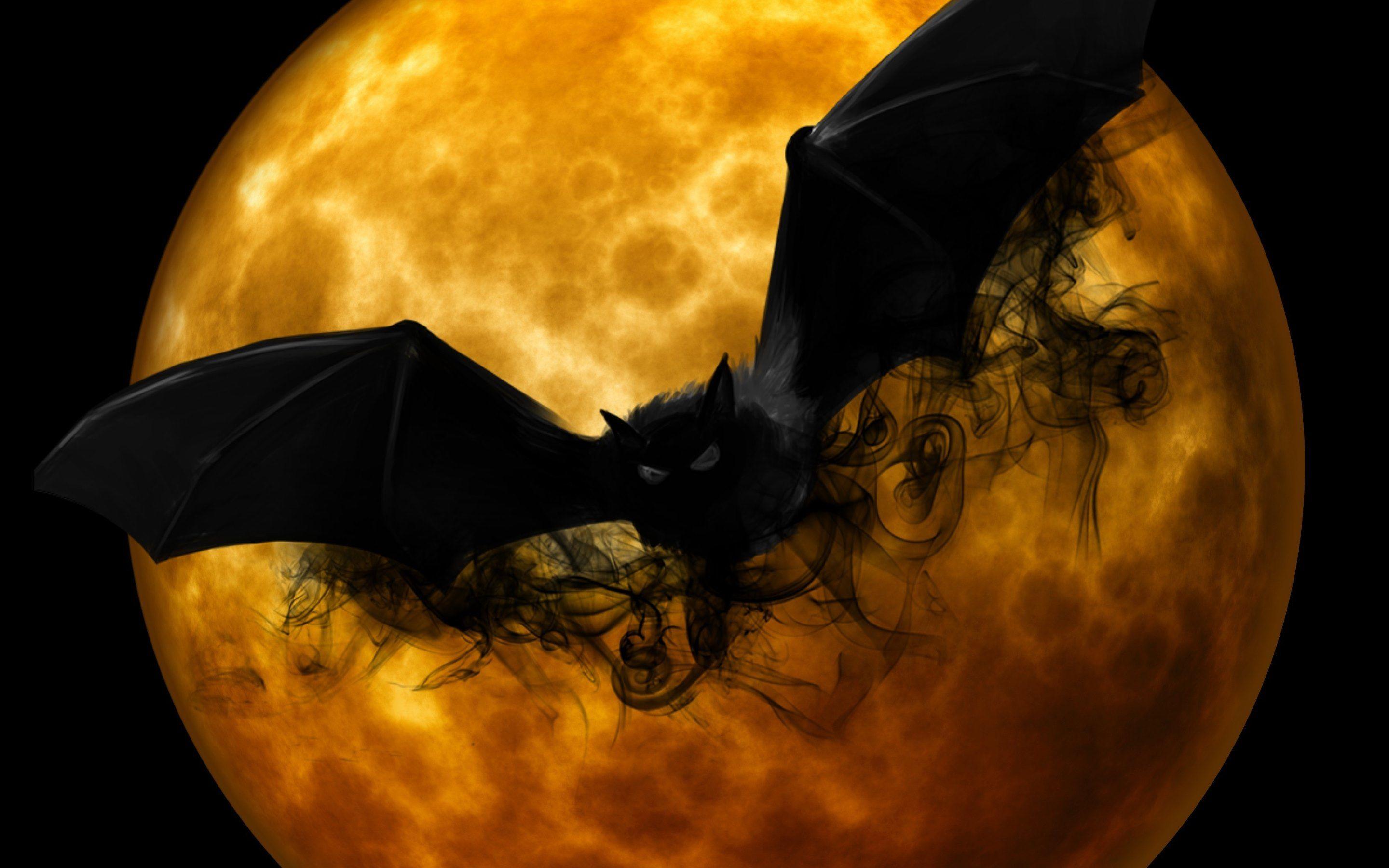 Halloween Bat Wallpapers - Top Free Halloween Bat Backgrounds