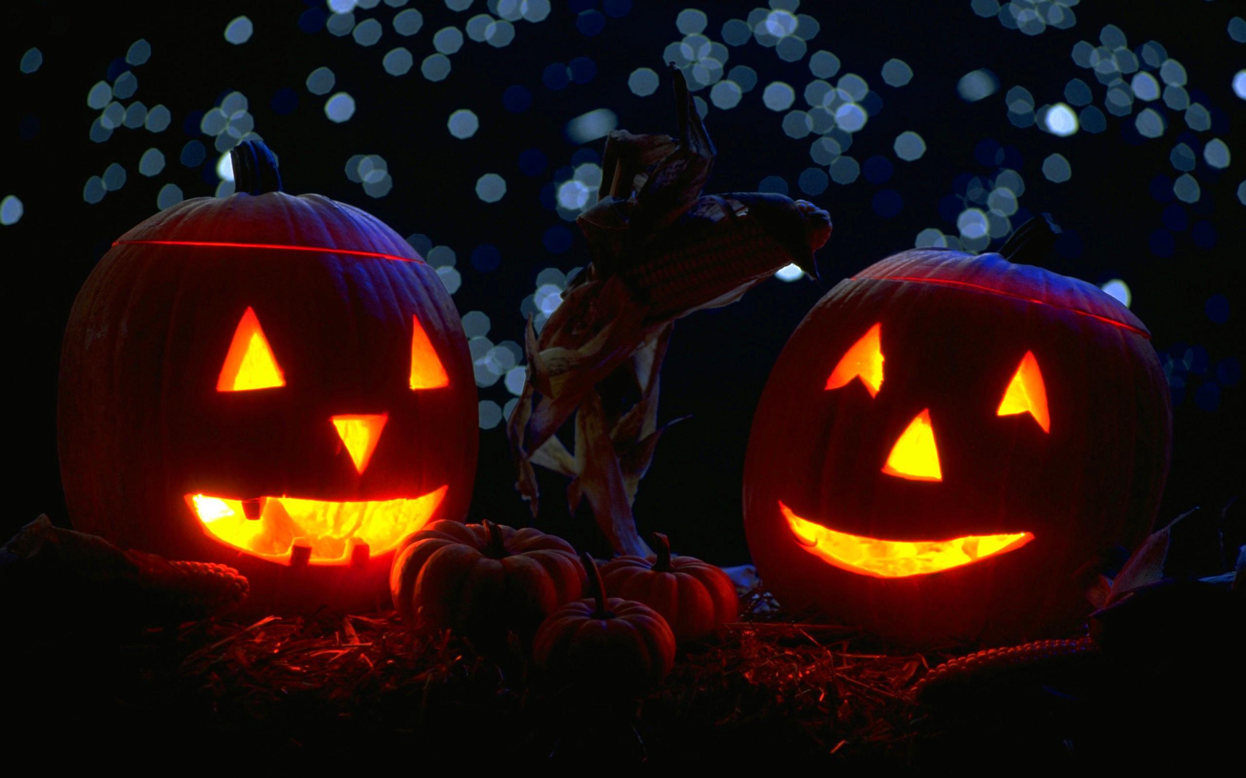 2560x1600 Halloween Scary Pumpkins Wallpaper Picture 44234