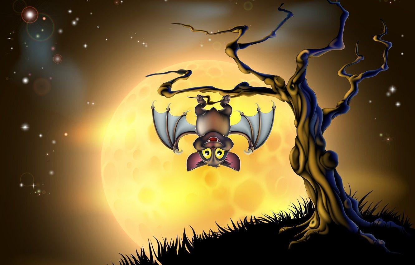 Halloween Bat Wallpapers - Top Free Halloween Bat Backgrounds