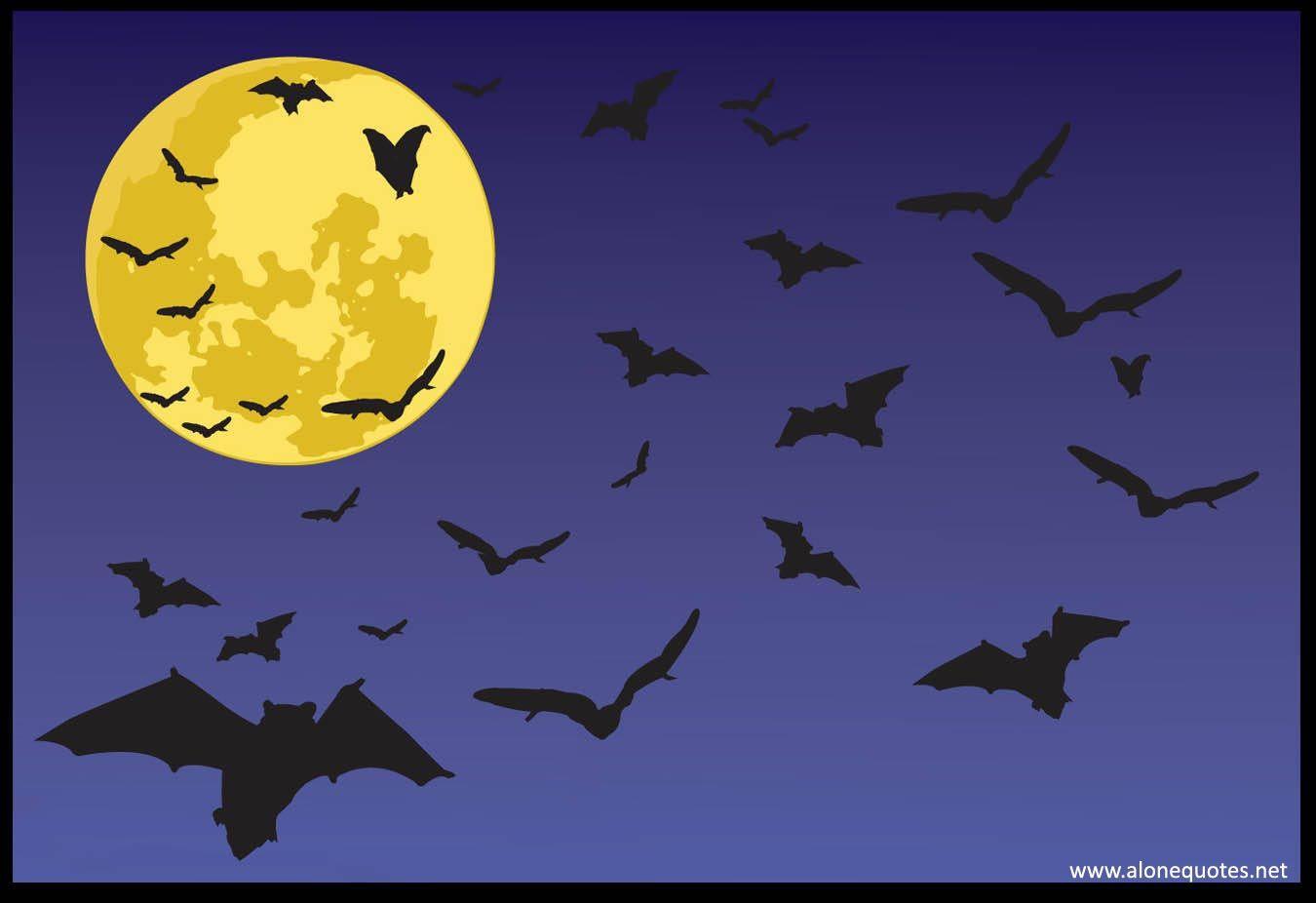 Halloween Bat Wallpapers - Top Free Halloween Bat Backgrounds ...