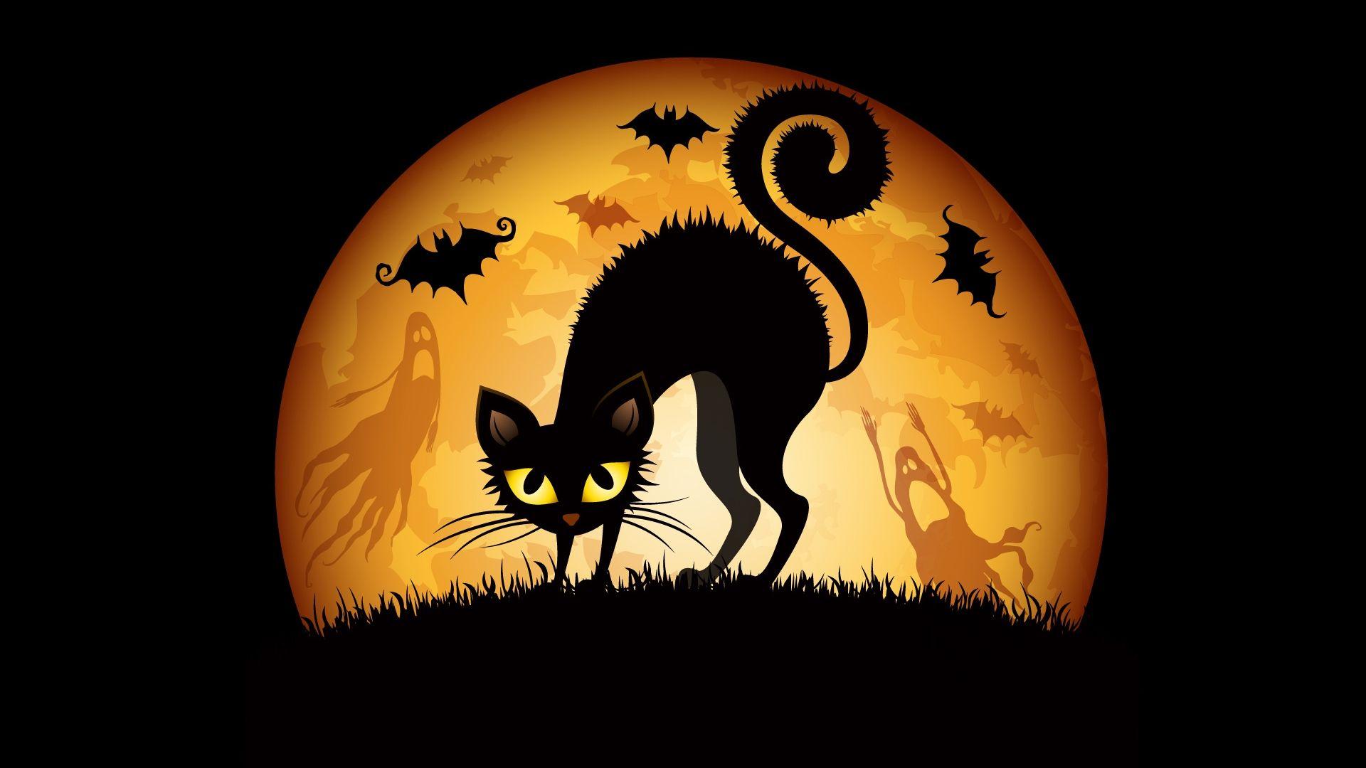 1920x1080 Free download Halloween Cats Bats Wallpaper HD Wallpaper