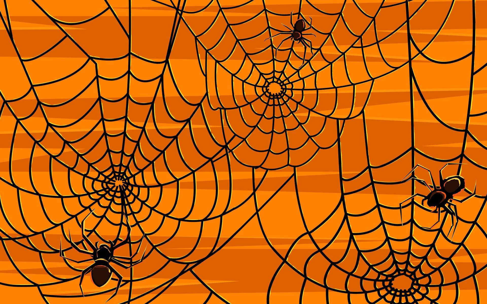 Halloween Spiders Background