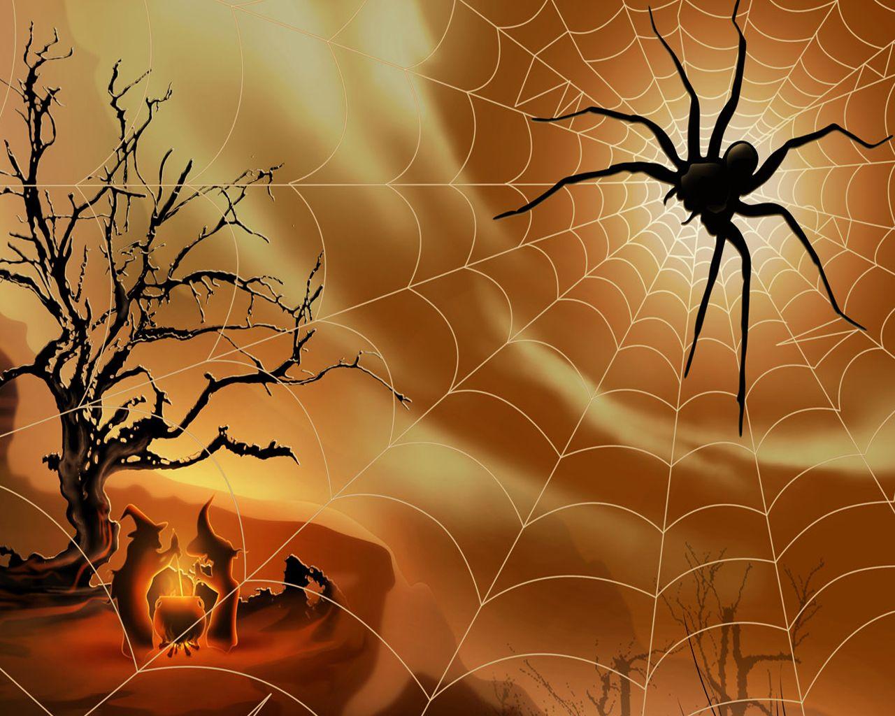 Halloween Spider Wallpapers Top Free Halloween Spider